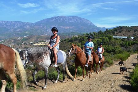 Horseback Riding in Taurus Mountains: Forest Sea Views 2.5 Hours