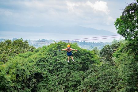 Tree Bridge Zipline Rainforest Canopy Experience from Koh Samui