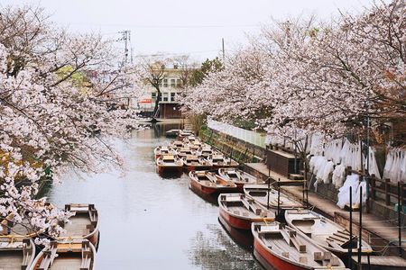 Dazaifu and Yanagawa Canal Cruise Private Guide Day Tour by Train