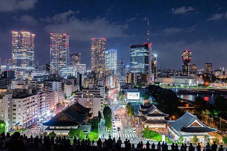 Tokyo Private Sightseeing Tour by Car - English speaking driver