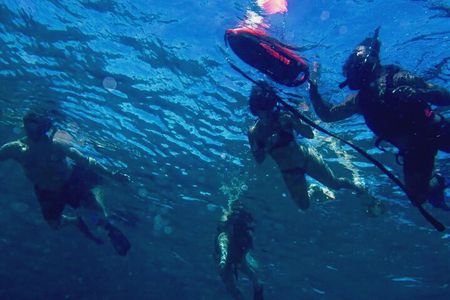 Shore Snorkeling