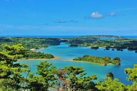 Matsushima: Scenic Bay Walk & Historic Temple Discovery