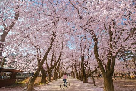 Nami island and Hanbok Wearing and Waterfall from Seoul