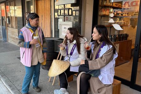 Hidden Japan Near Tokyo: Temple Walk and Local Life