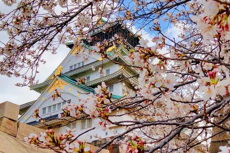 Osaka Castle & Temple Walking Tour with Multilingual Audio Guide