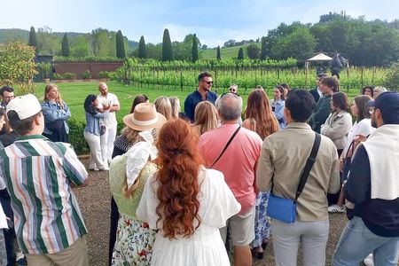 Chianti Half Day Wine Tasting Tour from Siena