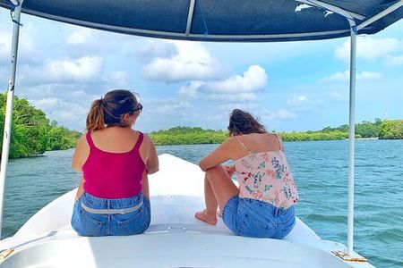 Galle: Koggala River Boat Safari with Monkeys Birds & Nature