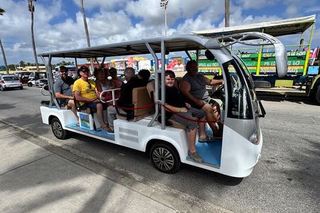 * New Product *Private Island Cruiser (10) persons tour & Rentals