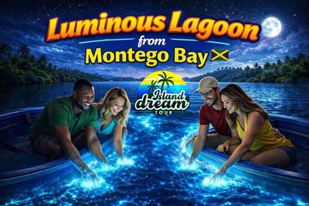 Luminous Lagoon from Montego Bay