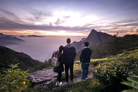 Munnar 2 Day Private Tour Tea Plantation and Kolukkumalai Sunrise
