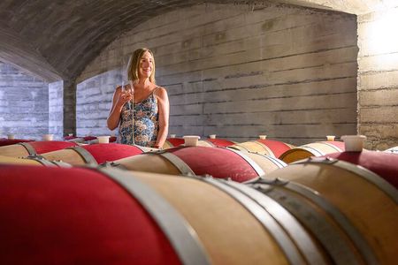 Iconic Hawke’s Bay Wines: Private Premium Tour