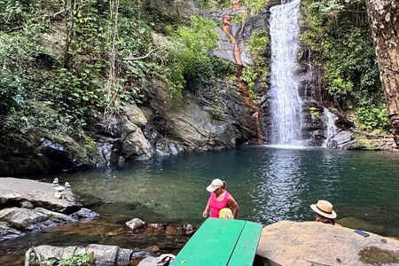Swim and Unwind at a Scenic Waterfall from Hopkins Village