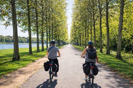 Versailles Full-Day Electric Bike Tour : Market, Picnic & Palace