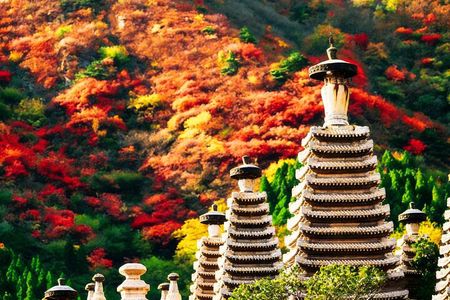 Beijing Private Tour to Fragrant Hill and Temple of Azure Clouds with Cable Car