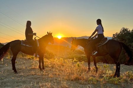 Free Range Horse Riding Tour