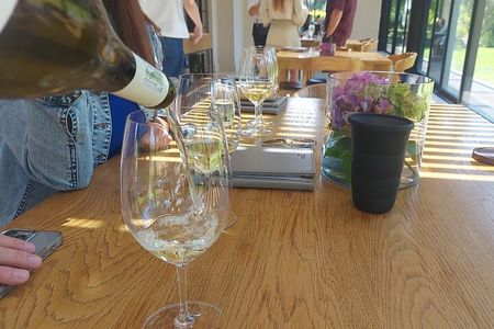 Cape Town Private Full Day Cape Winelands Tour Experience