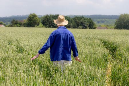 Unique Van Gogh immersive tour in Auvers sur Oise - 1.5 hours