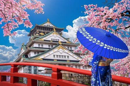 Osaka Highlights Walking Tour: Castle, Dotonbori & Hidden Gems