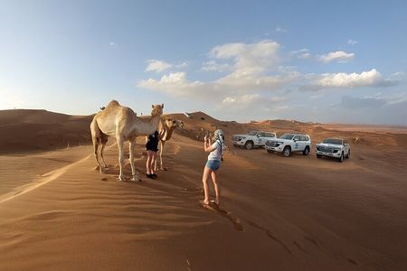 Dubai Evening Desert Safari with BBQ Dinner & Live Shows