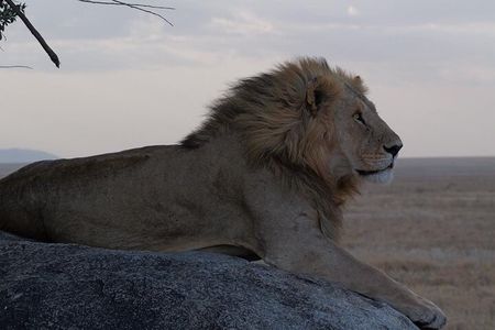 2-Day Tarangire & Ngorongoro Crater Safari