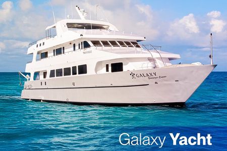 Galaxy Yacht First Class Cruise in the Galapagos Islands