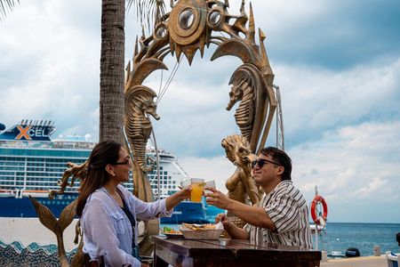 Cozumel Atlantis Submarine Adventure & Beach Club Day with Lunch