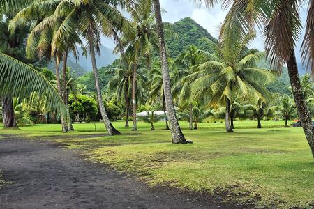 Private Full Day Tahiti Island Tour 7.5 Hours