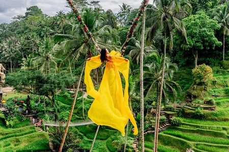 Ubud Private Tour Monkey Forest