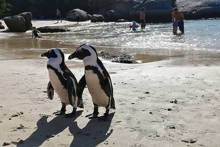 Cape Peninsula Tour: Cape Point, Penguins & More