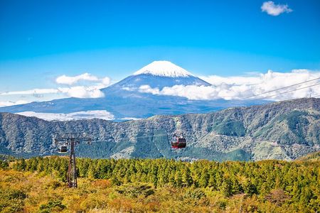 Mount Fuji Majesty with Hakone Wonders Exclusive Private Day Trip