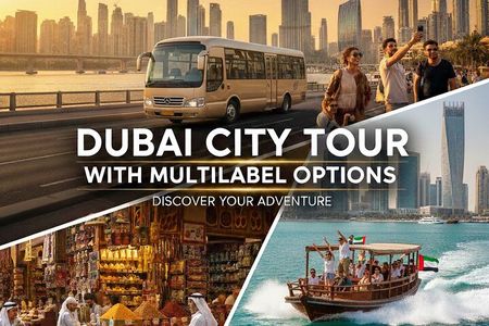 Dubai City Tour with Multilabel Options 