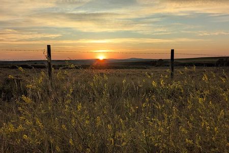 Golden and Blue Hour Tour | Your iPhone | Our Wild 