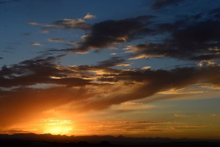 Golden and Blue Hour Tour | Your iPhone | Our Wild 