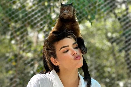 Wildlife Learning Adventure and Snorkeling in Akumal