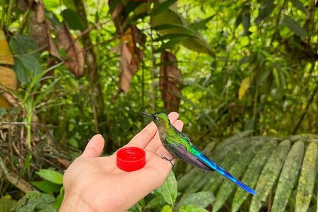 Mindo Cloud Forest & Middle of the World Tour from Quito