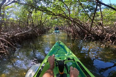 Lido Key Pedal Kayak Tour in Sarasota