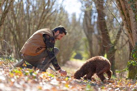 truffle hunting