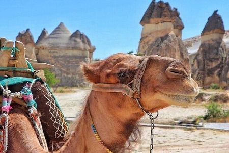 3-Day Cappadocia Tour with Camel Ride & Optional Balloon Ride