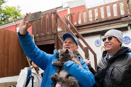 The Reykjavik Cat Walking Tour