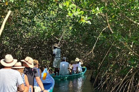 Mangrove trail + Artisanal fishing class + Beach club