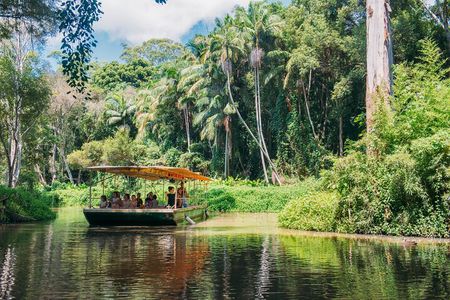Tropical Fruit World Farm Full Tour 