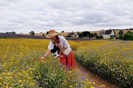 Cotswolds Tour from London Bibury, Burford, Snowshill & Pub Lunch