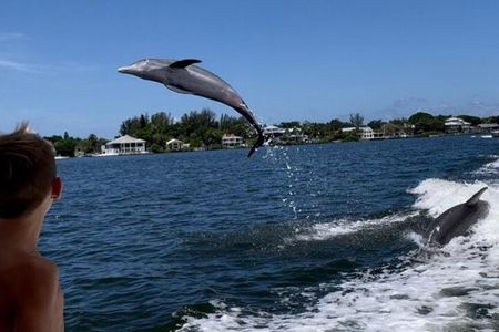Siesta Key 2 Hour Private Charter- Siestas Best Dolphin Tour