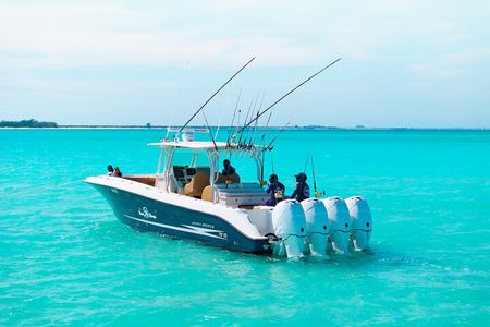 Group/Shared Half Day Afternoon, Bottom Fishing on Reel Bouys