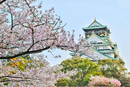 Osaka Highlights Walking Tour: Castle, Dotonbori & Hidden Gems