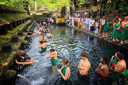 Ubud Tour: Monkey Forest, Jungle Swing, Tegalalang Rice Terrace