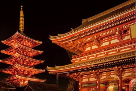 Night town and Cherry Light-up tour and Modern Samurai show