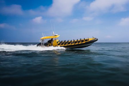 Kailua-Kona Adventure Whale Watch