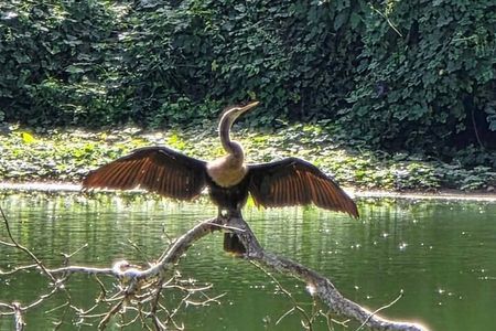 Bacalar Ichkabal Ruins and Boat Tour on the 7 Colors Lagoon