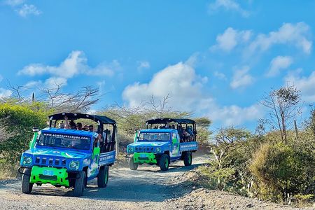 Aruba Jeep Tour: Natural Pool, Caves and Baby Beach Adventure